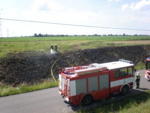 Fotka