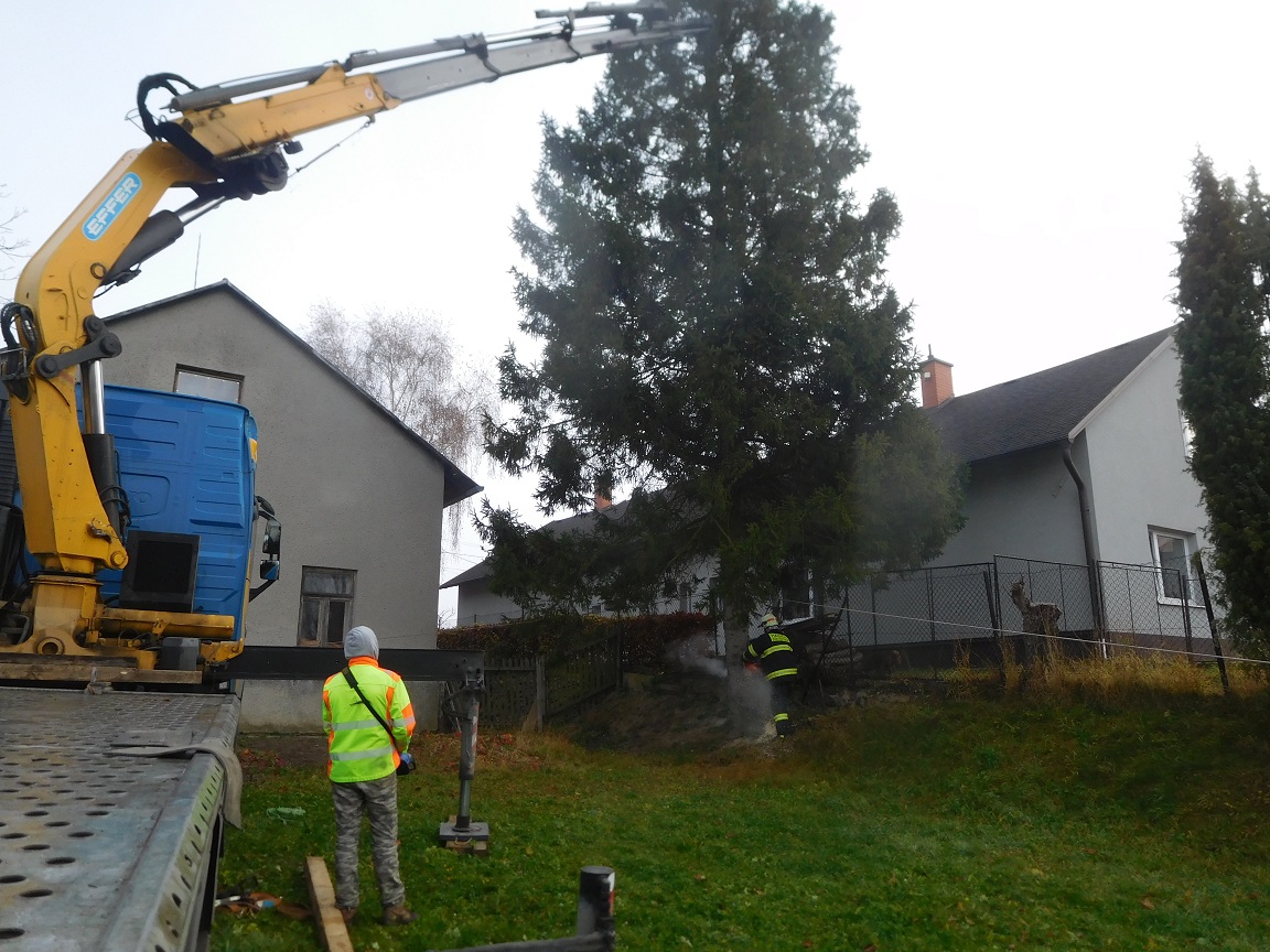V&aacute;nočn&iacute; strom 2021